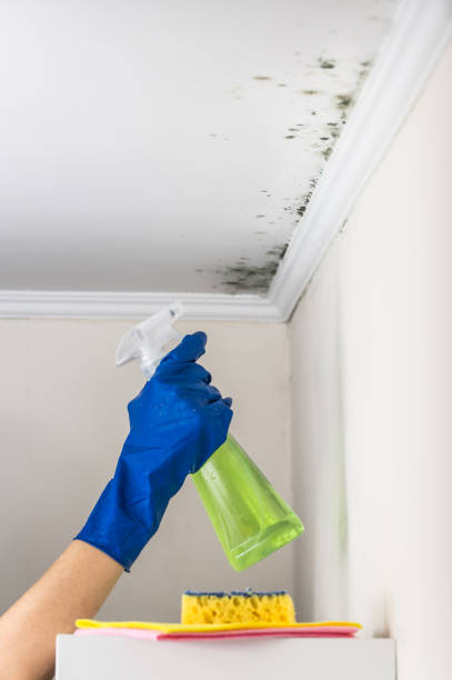 Bellefontaine Neighbors, MO Mold Remediation Company